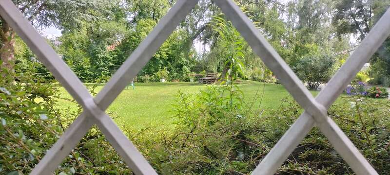 Garten durch Fenstergitter